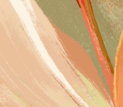 Коллекция «Renato»